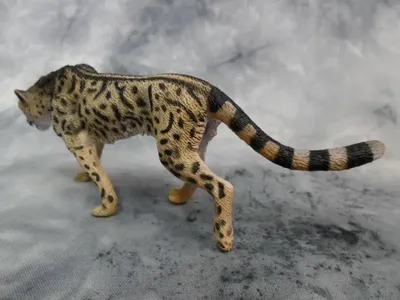 Игрушка Collecta Королевский гепард фигурка животного купить по цене 634 ₽  в интернет-магазине Детский мир