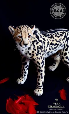 Королевский гепард - купить по лучшей цене в Алматы | интернет-магазин  Технодом