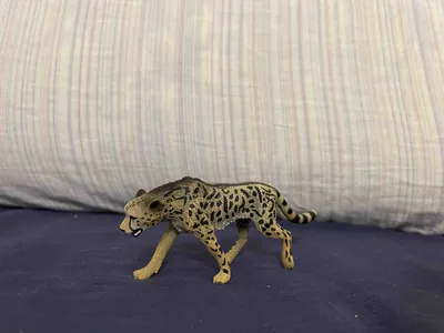 Скачать 2560x1024 королевский гепард, окрас, хищник, лежать обои, картинки  ультраширокий монитор