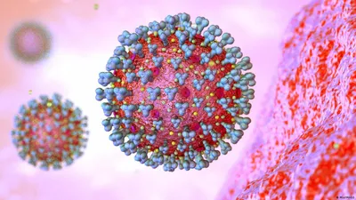 Чем опасен новый подвариант коронавируса XBB.1.5? – DW – 08.01.2023
