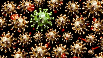 Происхождение коронавируса SARS-CoV-2 – DW – 04.08.2022
