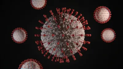 Впереди новая вспышка: в России появится новый штамм коронавируса BA.5 -  SakhalinMedia