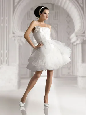 Короткое пышное свадебное платье (с пышной юбкой): стили и выбор | Свадебные  платья, Короткое свадебное платье, Платья