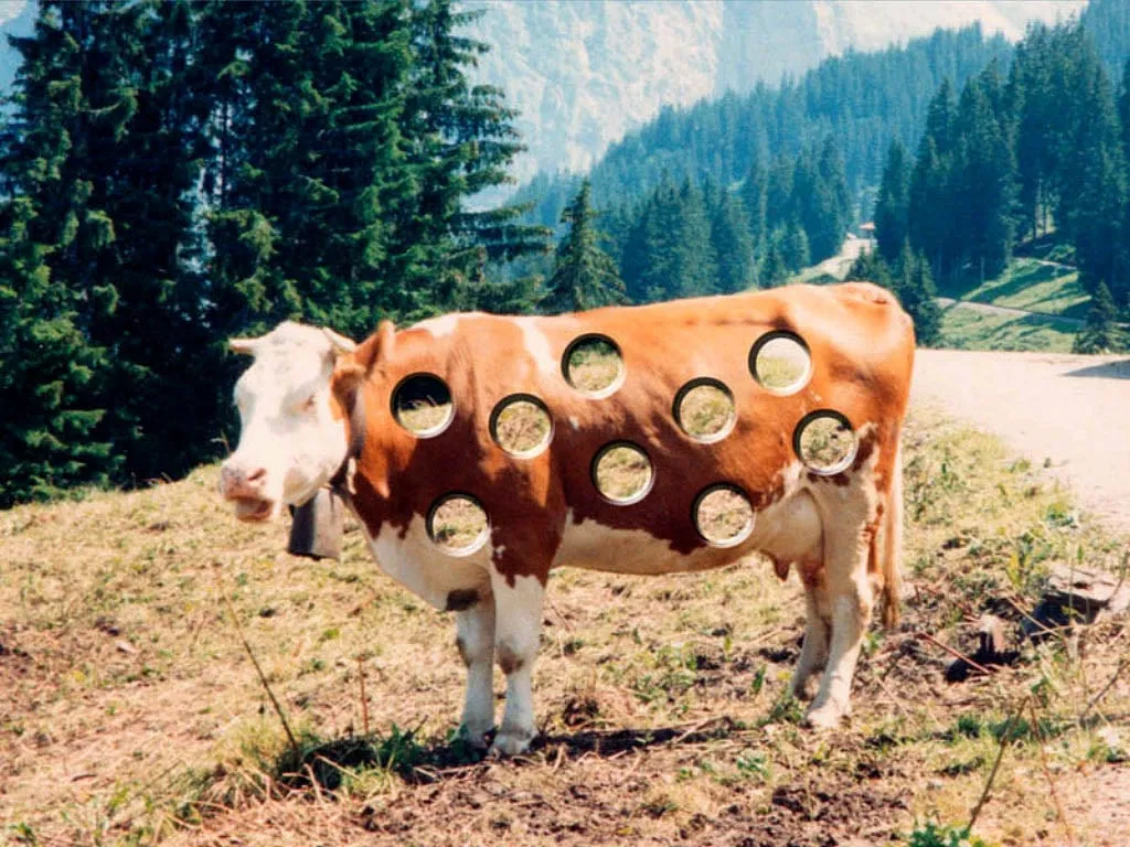 Корова. Сколько человек корова