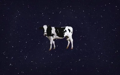 Космическая корова - 63 фото