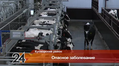 Минусы отдыха на Юге России: почему не стоит ездить на российские курорты