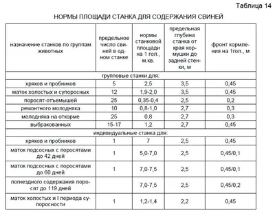 Как «обустроить быт» для свиньи