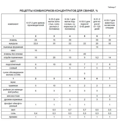 Обзор: все самое интересное в деревне Берёзки