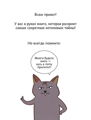 Котик в скафандре космонавта, прикольные и смешные картинки, забавные фото  и обои с юмором для рабочего стола, Full HD 1920