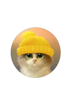 Коты в шапке | Пикабу