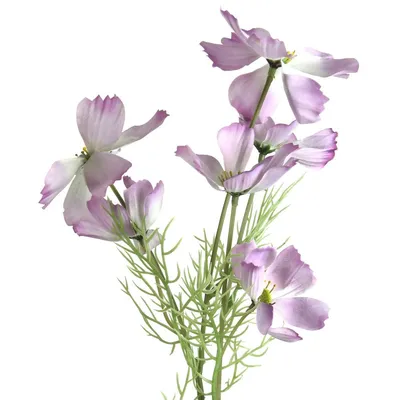 Цветок искусственный Космея, H58 cм, 6в. купить оптом (305629) |  REMECOCLUB.RU