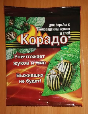 В Португалии колорадского жука считают экзотическим видом и защищают /  португалия :: нам бы их проблемы :: бацька :: колорадский жук / смешные  картинки и другие приколы: комиксы, гиф анимация, видео, лучший  интеллектуальный юмор.