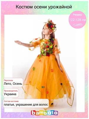 Детский карнавальный костюм осени (ID#178074686), цена: 750 ₴, купить на  Prom.ua