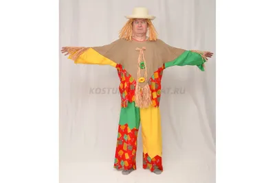 Костюм пугало купить за 2326 грн. в Fancydress