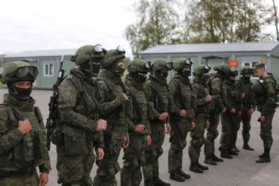 Бронежилет Штурмовой Ратник полный комплект (капы, бронеплиты, СВМПЭ пакет)  - купить с доставкой по выгодным ценам в интернет-магазине OZON (1132928117)