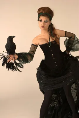 The Raven Costume II | Raven costume, Costumes, Themed outfits