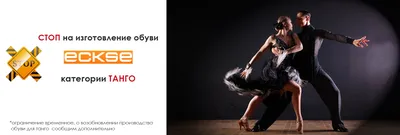 Конкурсная одежда для бальных танцев. «Dance Vision». Иваново