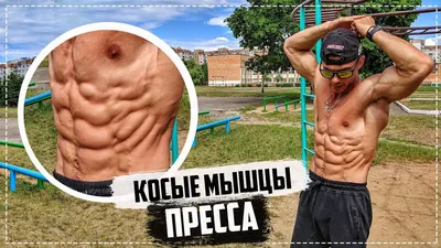 Косые мышцы пресса фотографии