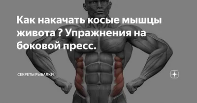 Диастаз прямых мышц живота: кто виноват и что делать? | FPA