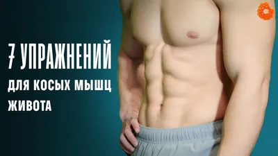 Как накачать косые мышцы живота? ✓ ЗОЖ с Денисом Мининым - YouTube