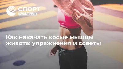 Поперечная мышца живота — Википедия