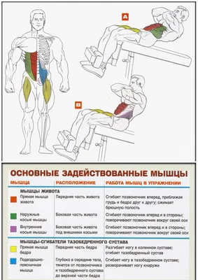 13 упражнений на косые мышцы живота. Выбирай несколько и работай! | Пикабу