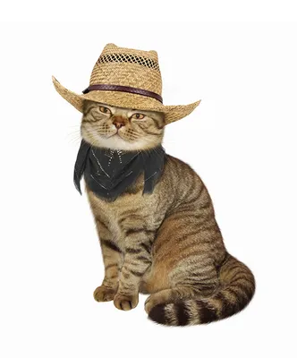 Картина на холсте Рене Магритт \"Кот в шляпе\"