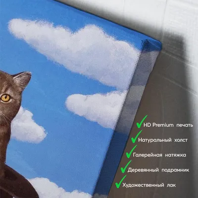 Рукописный обзор игры «Кот в шляпе» | Карл Сагган | Дзен