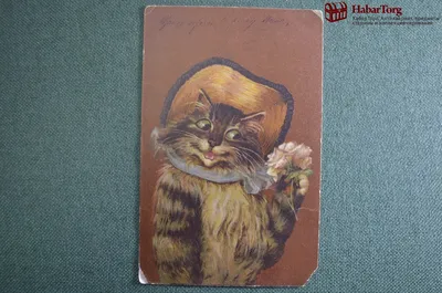 Кот в смешной шапке кота 🐱» — создано в Шедевруме