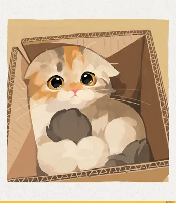 трёхцветная кошка :: перерисовка :: арт :: кот и коробка :: кот ::  GENTLECAT / смешные картинки и другие приколы: комиксы, гиф анимация,  видео, лучший интеллектуальный юмор.