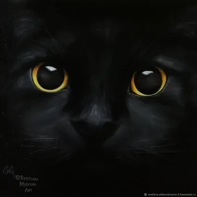 Картины: Черный Кот – купить онлайн на Ярмарке Мастеров – O05IYRU |  Картины, Ставрополь