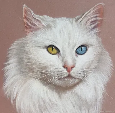 Портрет Кота по фото на память Картина пастелью с котиком – заказать на  Ярмарке Мастеров – JVW76RU | Картины, Лянтор