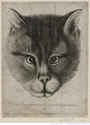Подлинный портрет кота великого князя Московии — Википедия