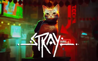 Игра про кота Stray получила самые высокие оценки в Steam в 2022 году | РБК  Life