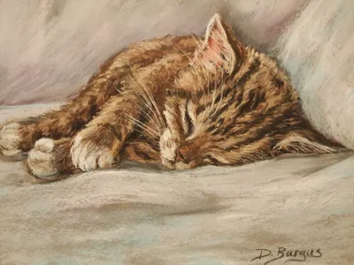 Фотография Кошки животное Рисованные 1600x1200