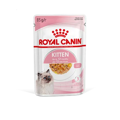 Royal Canin Kitten для котят в возрасте до 12 месяцев, в желе (пауч) в  mirkorma.ru