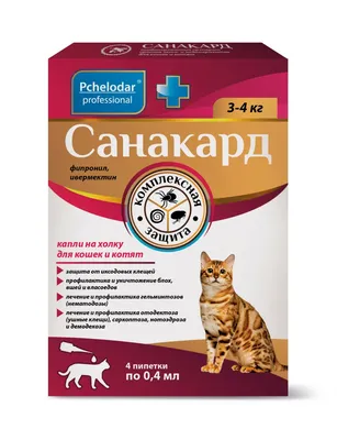 Пчелодар Санакард капли для кошек и котят упаковка, 4 пипетки купить по  низкой цене с доставкой - БиоСтайл