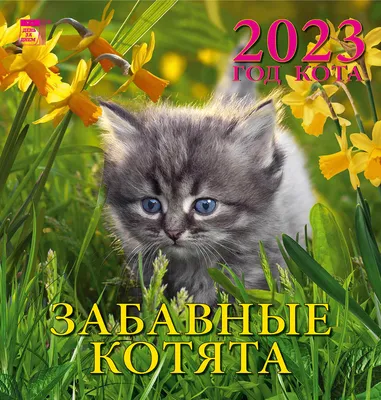 календарь на скрепке Забавные котята купить в магазине Август