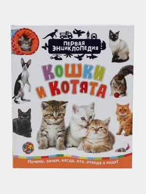 Купить Кошки и котята (Первая энциклопедия) за 90000 сум с бесплатной  доставкой за 1 день на Uzum