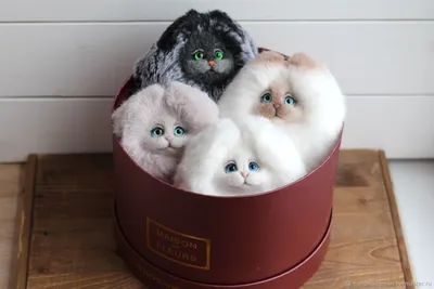 Мягкие игрушки: Пушистые котики – купить онлайн на Ярмарке Мастеров –  MTKWIRU | Мягкие игрушки, Москва