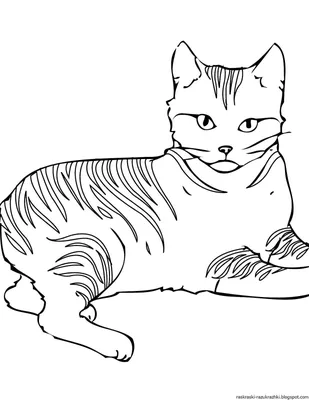 Котики картинки #16 - скачать или распечатать раскраску из категории «котики  картинки» бесплатно #483795