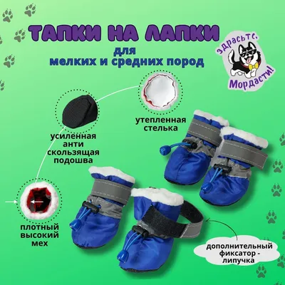 Котёнок / Детская обувь купить за 2690 рублей в интернет-магазине Obuv33.ru  - 3532(303ос/22)