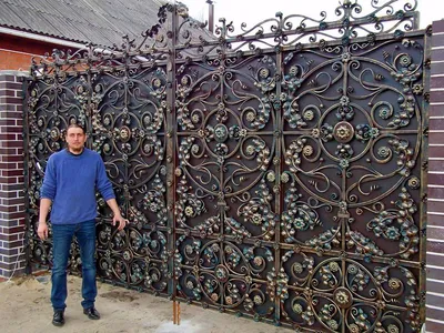 Кованые ворота – Евгений Родин