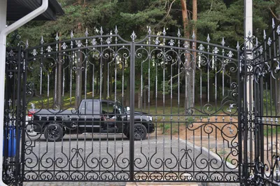 Кованые ворота купить в Минске - Цена кованых ворот с калиткой