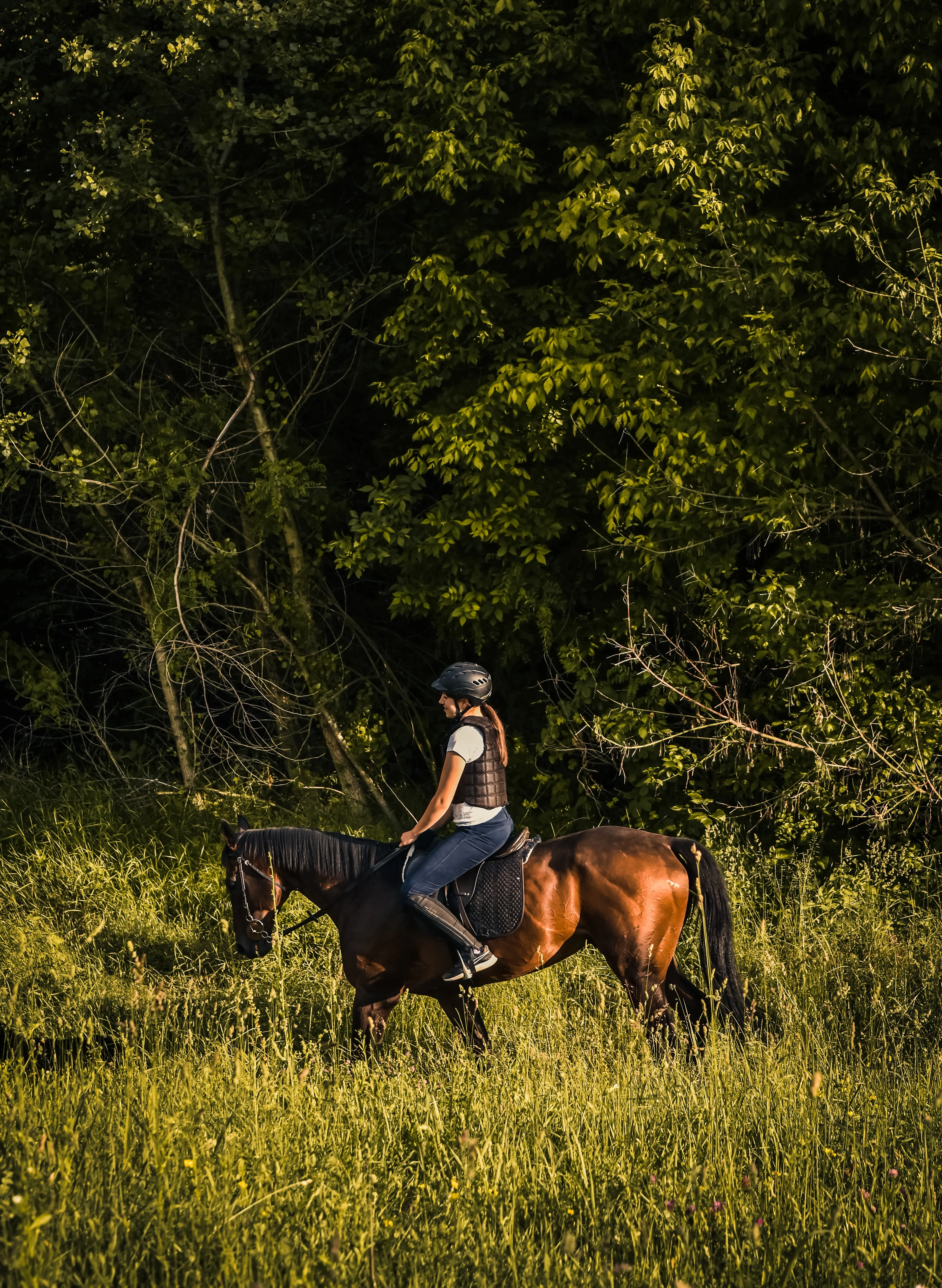 На русском ride a horse. Разведка лошади. Игра верховая езда на лошадях. Правильная верховая езда на лошади. Девушка конница.