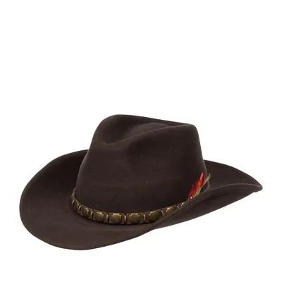Шляпа ковбойская STETSON 3598102 WESTERN (коричневый) купить за 17990 RUB в  Интернет магазине | Страница 3598102