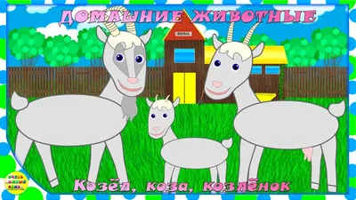 Добрый день продается дойная коза по всем вопросам в Лс или по номеру  89534061361 #дойнаякоза #коза #козел #деревенскаяжизнь #продажа… | Instagram