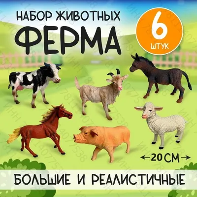 Год Козы (Овцы): какие года, когда будет, описание, характеристика знака по  китайскому (восточному) гороскопу