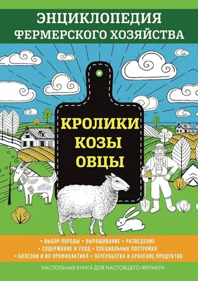 Новогодние заметки от Юлии Игнатьевой: \"Овца или Коза?\" | Куршская Коса -  национальный парк