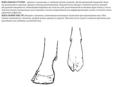 Мастер-класс по изготовлению козлика для оформления в группе сказки  «Серебряное копытце» (6 фото). Воспитателям детских садов, школьным  учителям и педагогам - Маам.ру